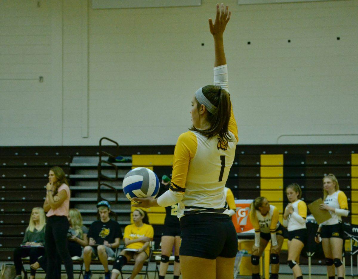 Freshman outside hitter Taylor Modica gets ready for a serve against Cabrini University two weeks ago. Modica and fellow freshman Lauren Horbacewicz have combined for 316 kills on the season. -Photo Editor/Nicole Mingo