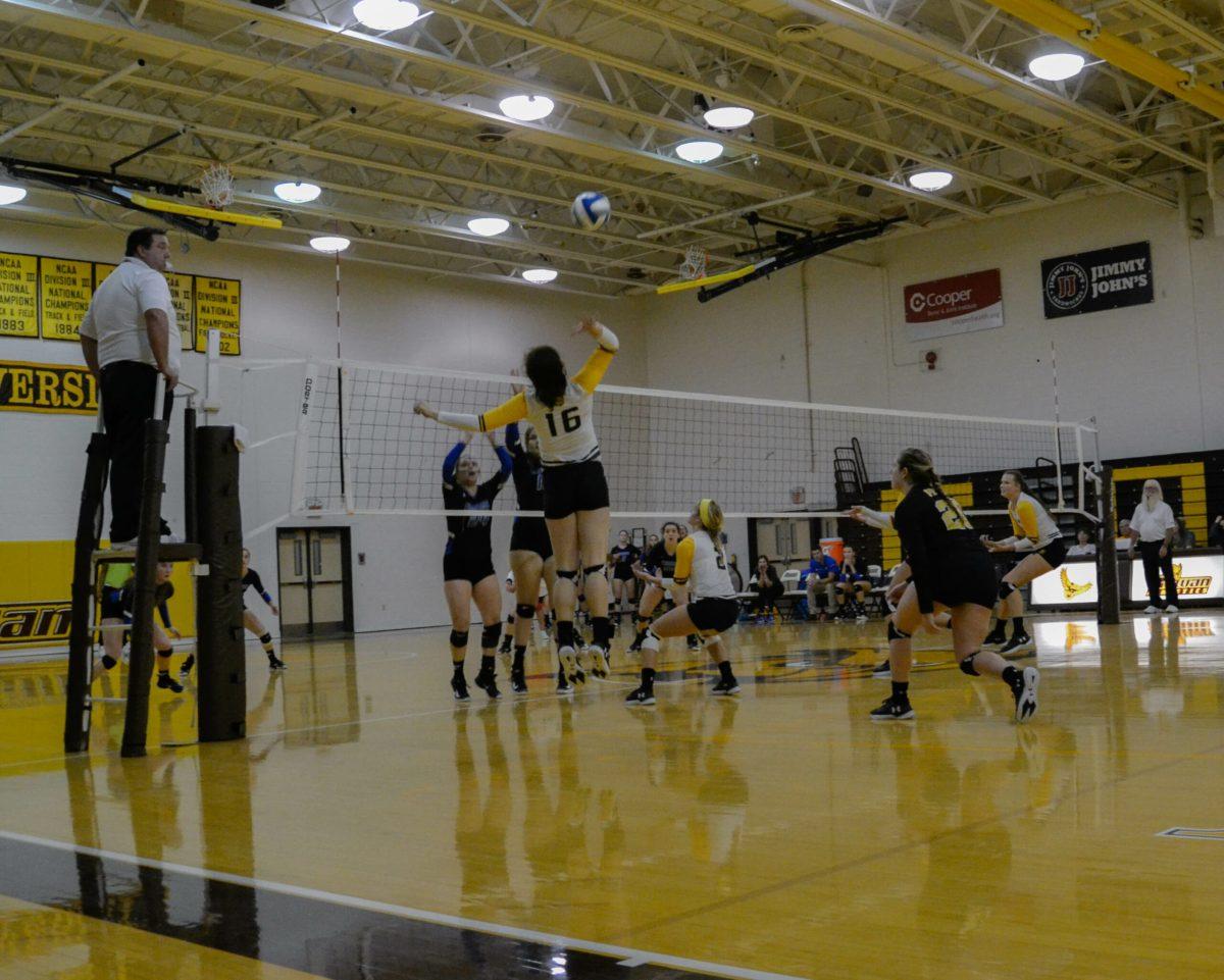 Sophomore captain Megan Jacobi goes up for an outside attack against Cabrini University on Friday. Jacobi has 228 kills on the year. Photo Editor/Nicole Mingo