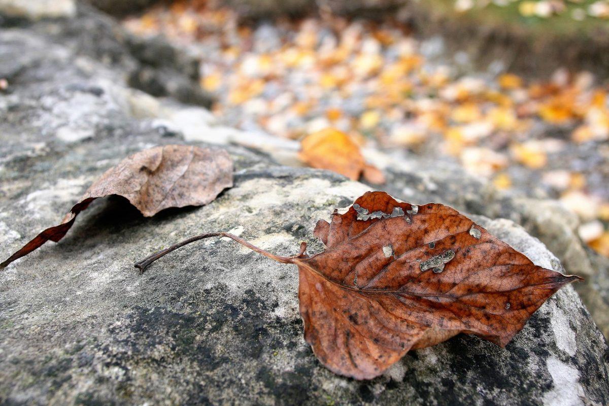 Andujar: Weather is weird -Photo from pixabay.com