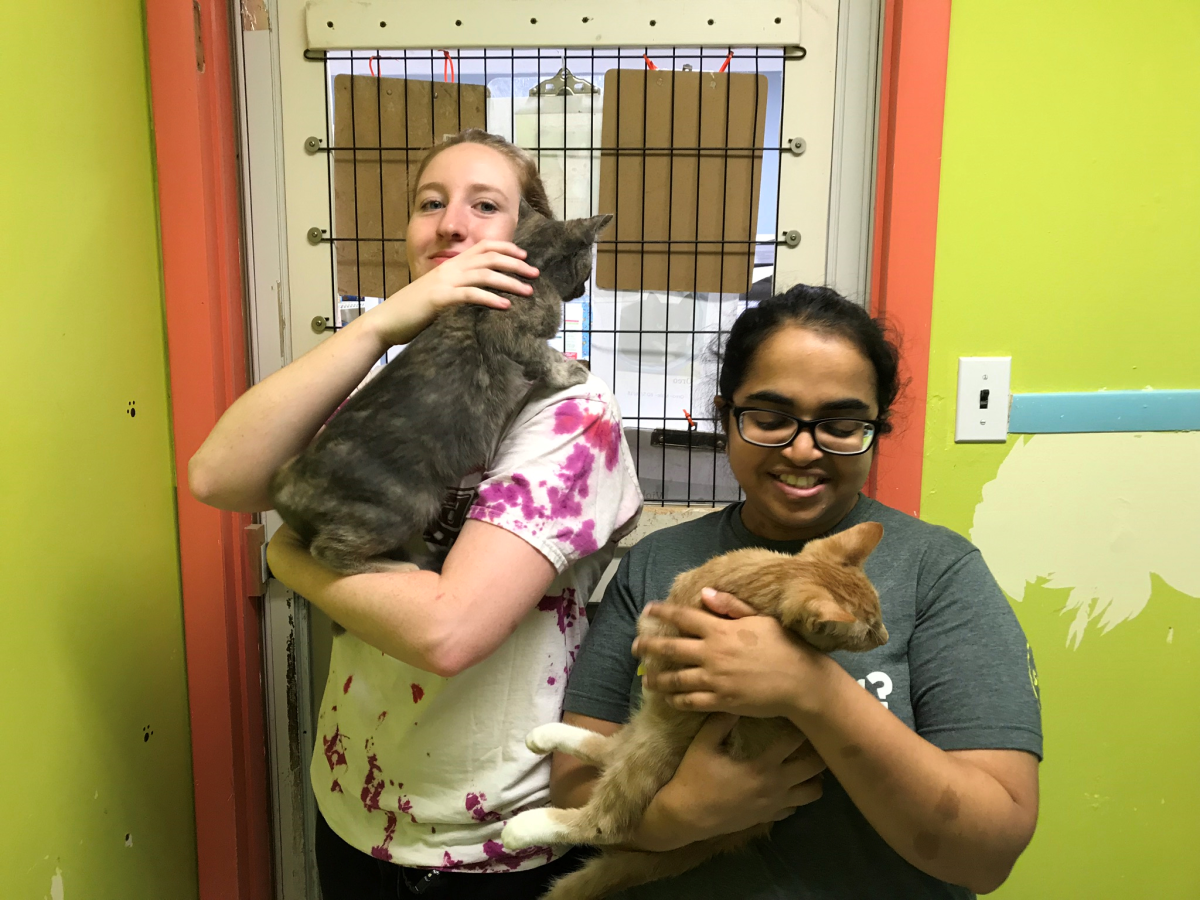 Undergraduate coordinator Jemma Freisinger (left) and graduate coordinator Naveen Khan (right) volunteer at the Salem County animal shelter. -Contributor/Joseph Metz