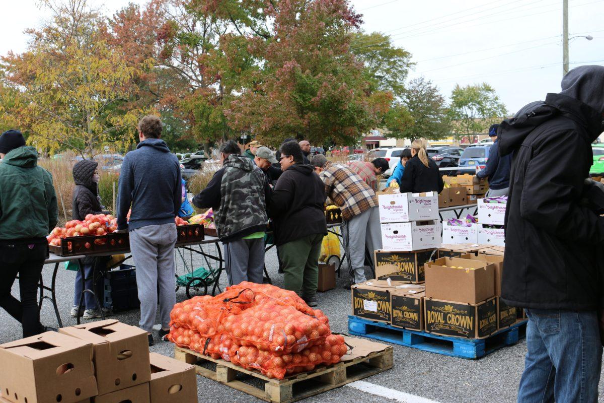 Rowan students and Glassboro residents volunteer and participate in the Philabundance on Friday in parking lot D. Staff Writer/Alexander Heller