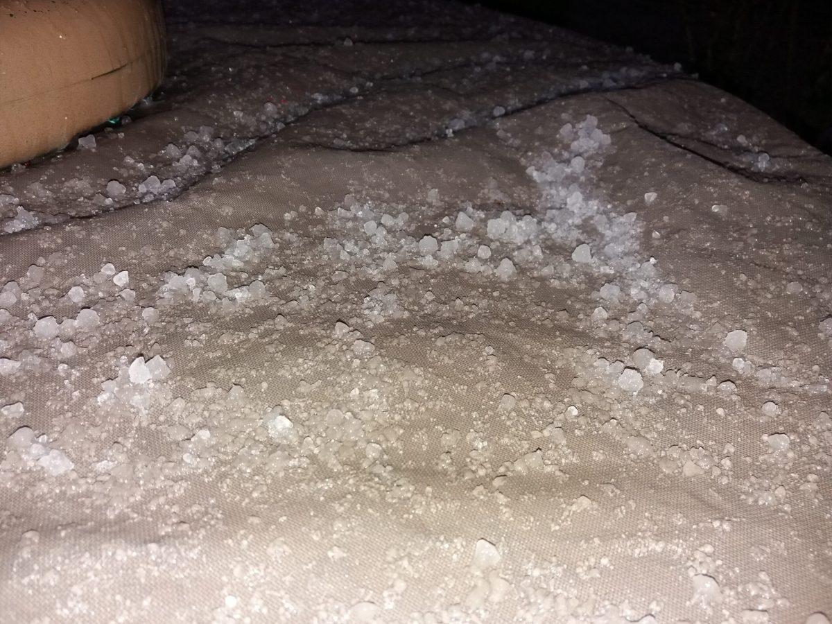 On Friday, graupel appeared in Peter Planament's backyard, as well as many others; leading people to believe it was hail when it was not. Staff Writer / Peter Planamente. 