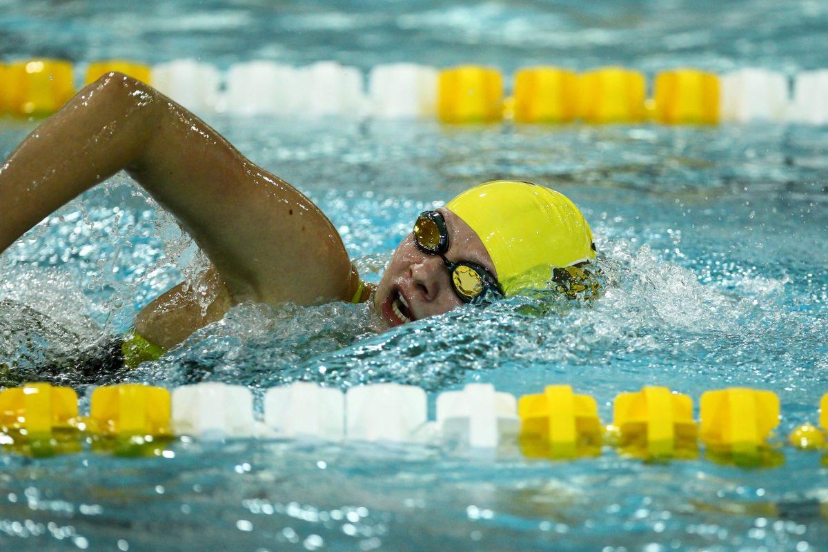 Carlee Timmins swims freestyle in a meet last year. Photo/ Rowan Athletics.