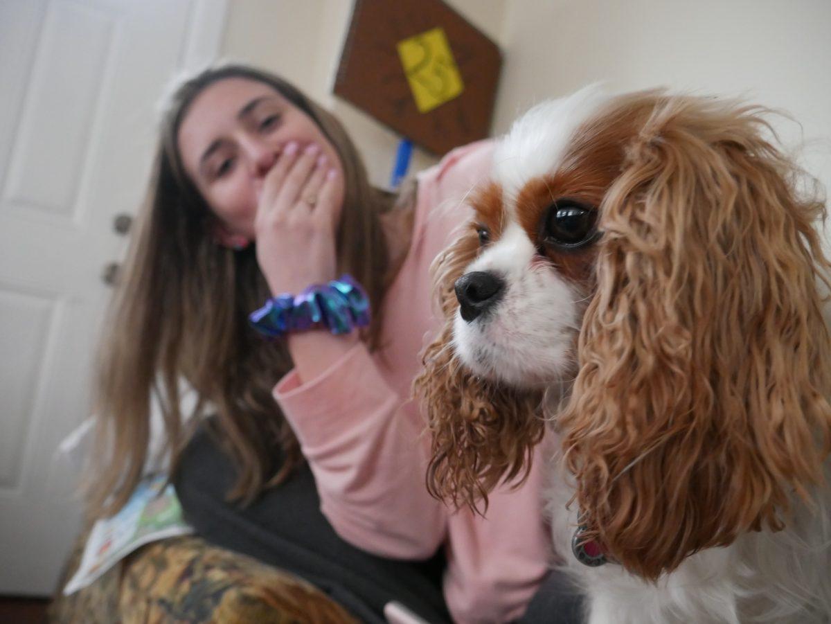 Junior biomedical engineering major Hannah Doyle finds comfort and companionship from her emotional support animal, a Cavalier King Charles Spaniel named Pippa. She believes that a well-trained and well-chosen animal is more than just a pet - but also a partner. - Editor-in-Chief / Tara Lonsdorf