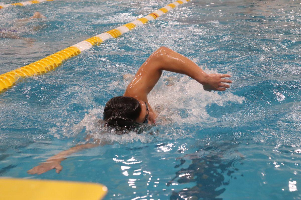 Kevin Yanagisawa swims freestyle in an event against USMMA. The Profs lost the meet 146-154. Saturday, Feb 1, 2020. Multimedia Editor / Dyone Payne.