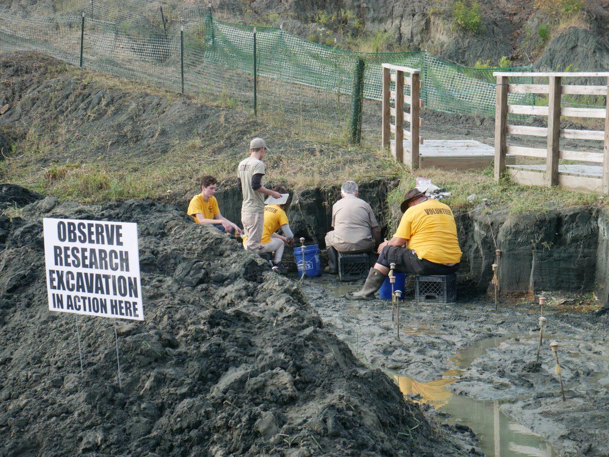 Volunteers excavate fossils during the Edelman Fossil Park's 8th Annual Community Dig Day in Sept., 2019. These volunteers were looking for fossilized clams, oysters, teeth, burrows, bones and other remnants of past life. - Editor-in-Chief / Tara Lonsdorf