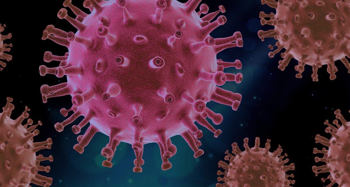 An artist's rendering of the novel coronavirus. - Image from Pixabay.com.