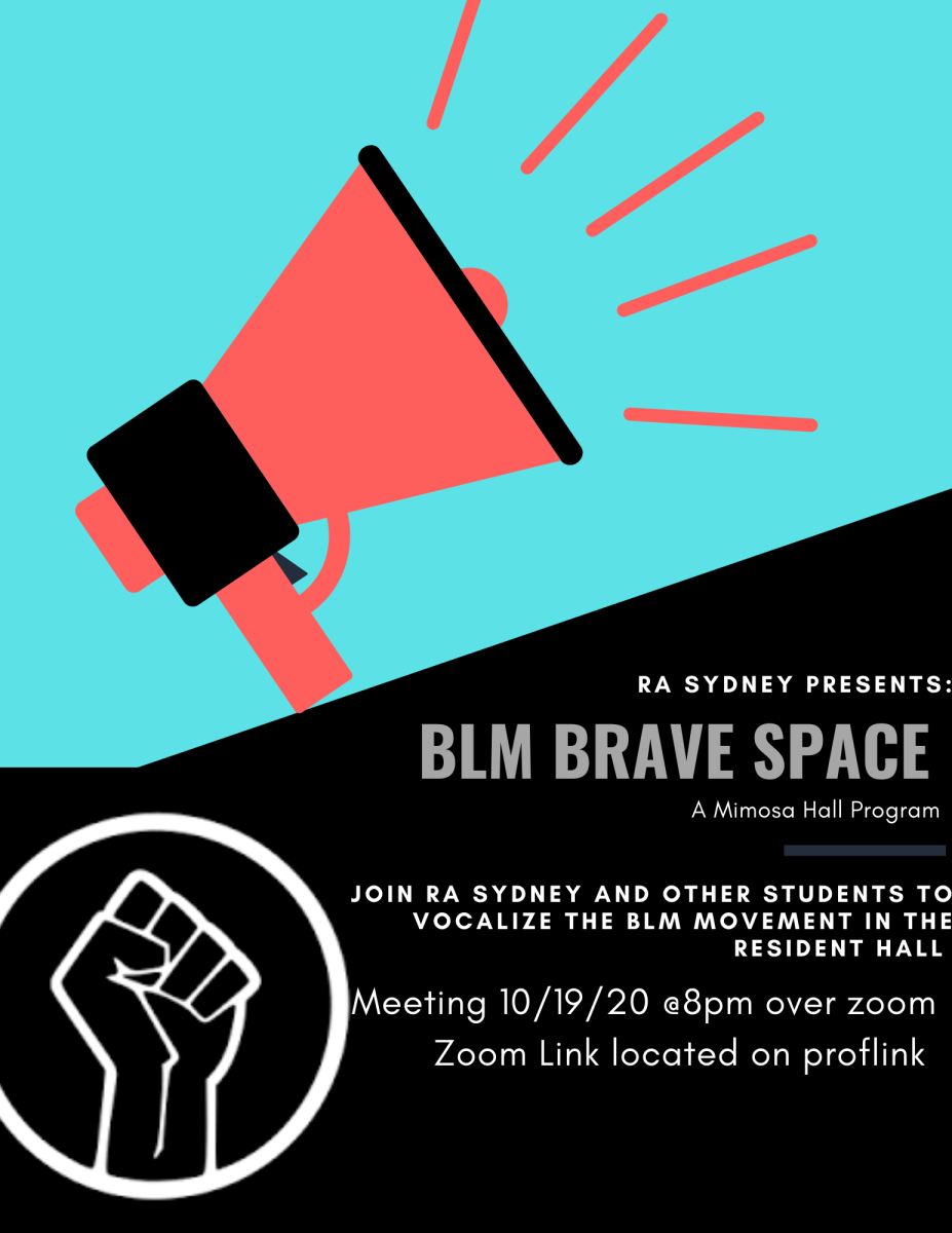 Resident Assistant Sydney Ramos hosts BLM Brave Space to talk about the Black Lives Matter movement. - Photo courtesy of Sydney Ramos