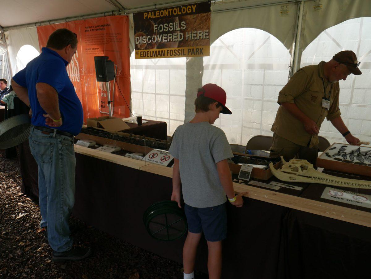 The Edelman Fossil Park displayed fossils at last year's 8th annual community dig day. Dr. Lacovara, the founding dean of Rowan's School of Earth and Environment, showed fossils during a virtual Dinos at Dinnertime event. - Managing Editor / Tara Lonsdorf