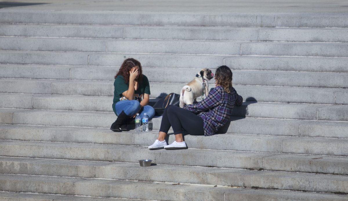 As this semester comes to a close, finals-related stress combines with the obligations of life and the stressors of the ever-looming COVID-19 pandemic. The best way to combat this stress and be more productive with the tasks at hand is to take breaks. - File Photo / Miguel Martinez