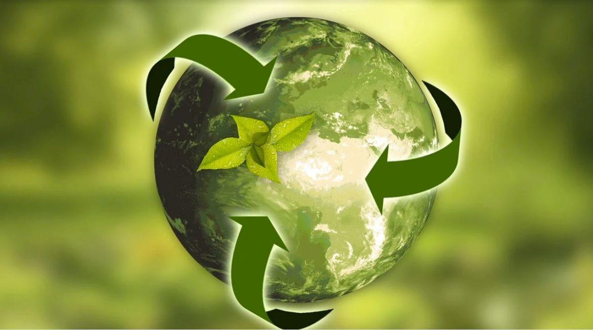 GlobeScan CEO Chris Coulter discusses sustainability in business during the virtual event, "Accelerating Progress Toward a Circular Economy." - Photo via Pixabay.com