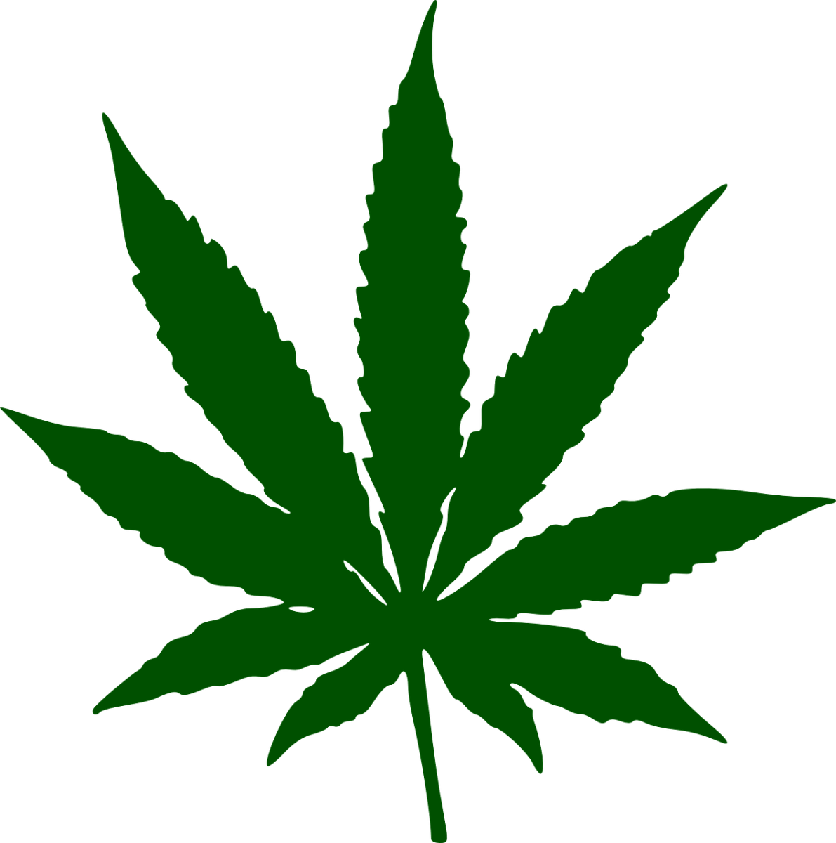 Marijuana has a long and complicated history in the United States. - Photo via Pixabay.com.