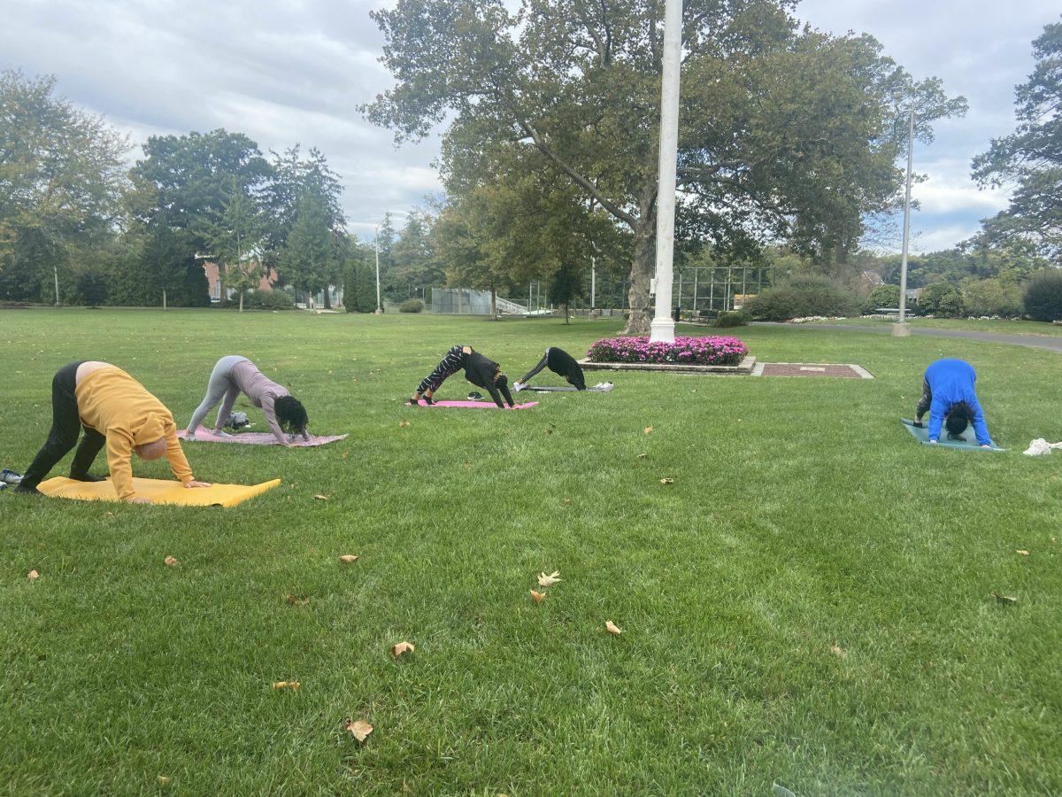 Gina Lemanowicz Pusloski leading a downward dog pose. Photo / Elena Laughton