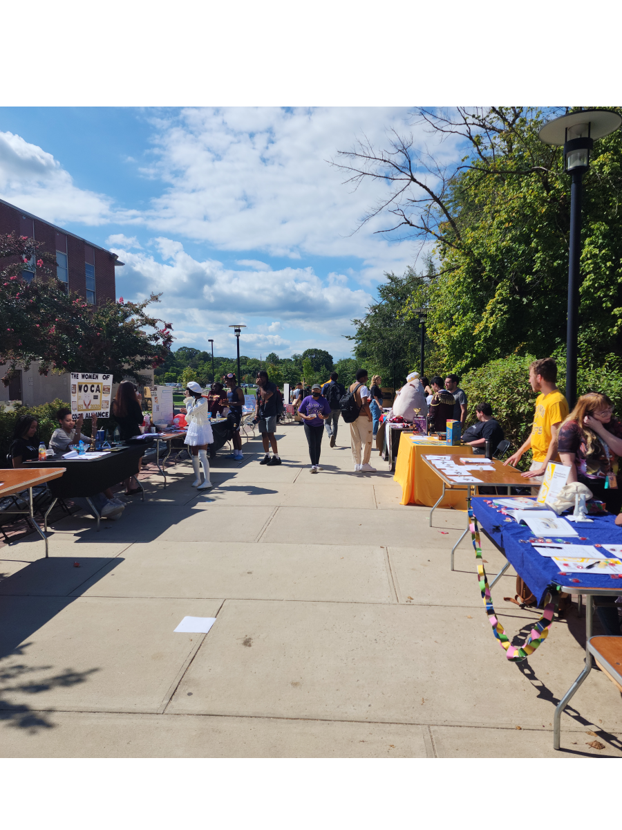 Students view the many clubs lined up along Meditation Walk near Business Hall. - Writer / Nick Butler