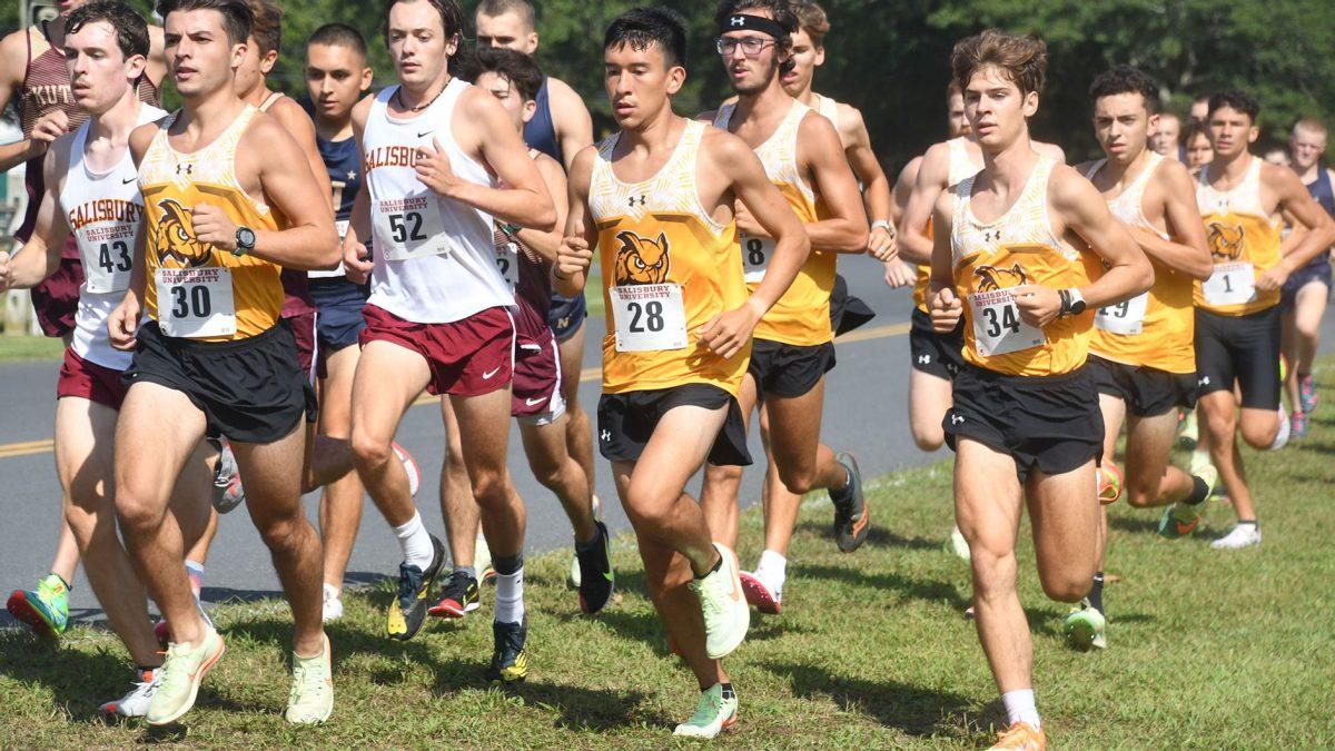 Rowan men's cross country team during a meet. The Profs finished tenth at the meet this weekend. - Photo / Rowan Athletics