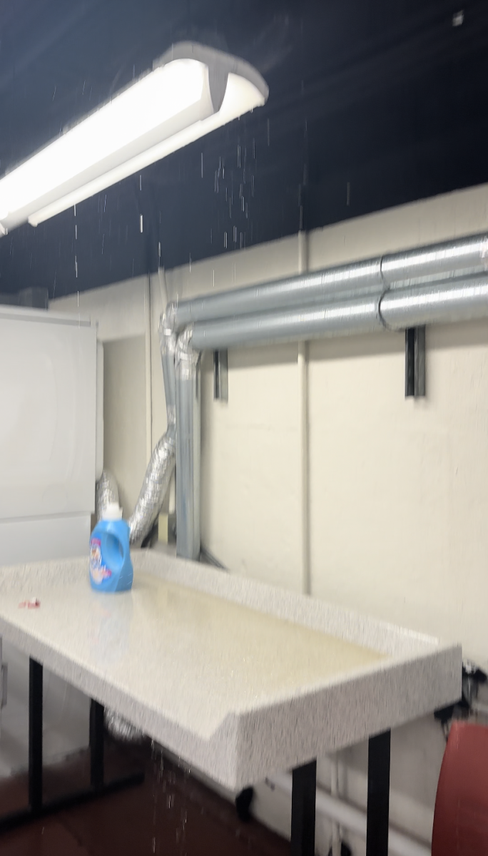 Water pours from the ceiling of Chestnut Hall's laundry room. - Photo / Anonymous Post on Reddit.com