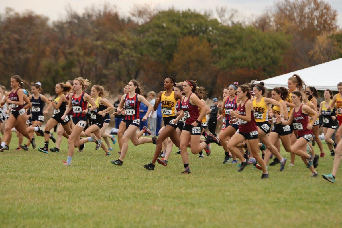 The Rowan women's cross country team starts a race. The team ran in their final meet of the season. Saturday, Nov. 13, 2021. - Multimedia Editor / Lee Kotzen