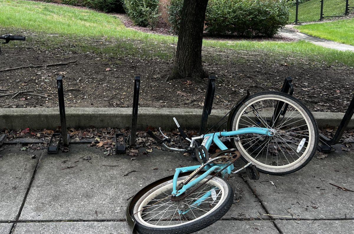 "Before my eyes was something out of a cartoon, my front wheel went independently careening towards the street. Someone had tried and failed to steal my bike." - Contributor / Isaac Linsk