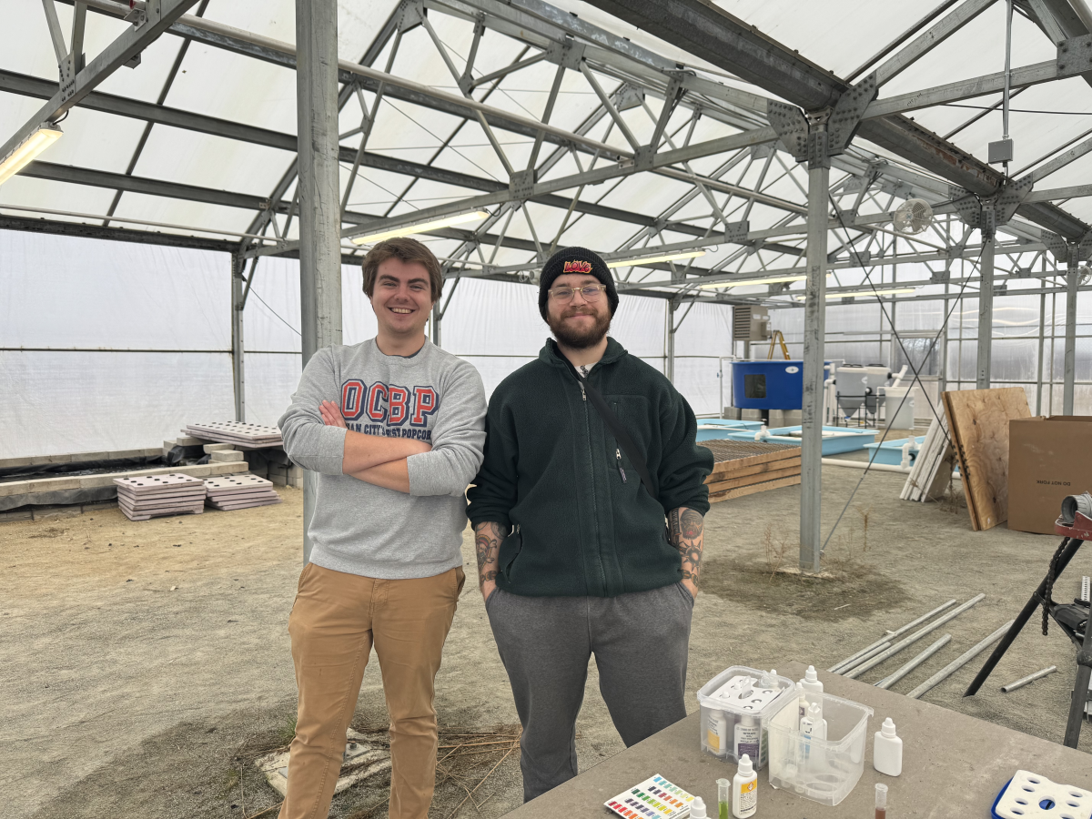 Brendan Bermingham and Isaac Linsk stand before the south system on their left and the north tower on their right. - Co-News Editor / Gianna Malgieri