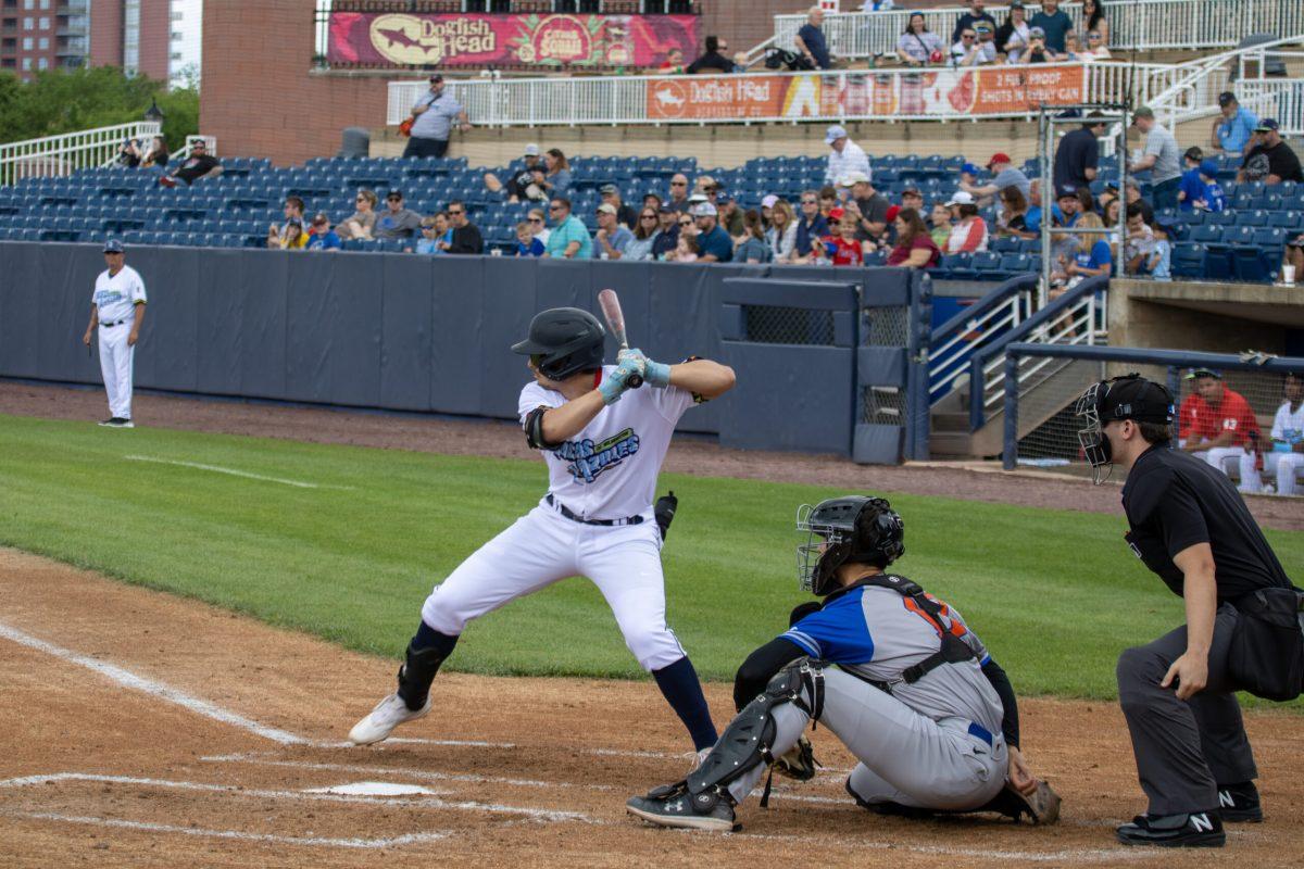 Phillip Glasser takes his stride in the batters box. Glasser recorded an RBI in the 10-2 loss on Tuesday. - Sunday, May 19, 2024. / Photo via Payton Tuorto