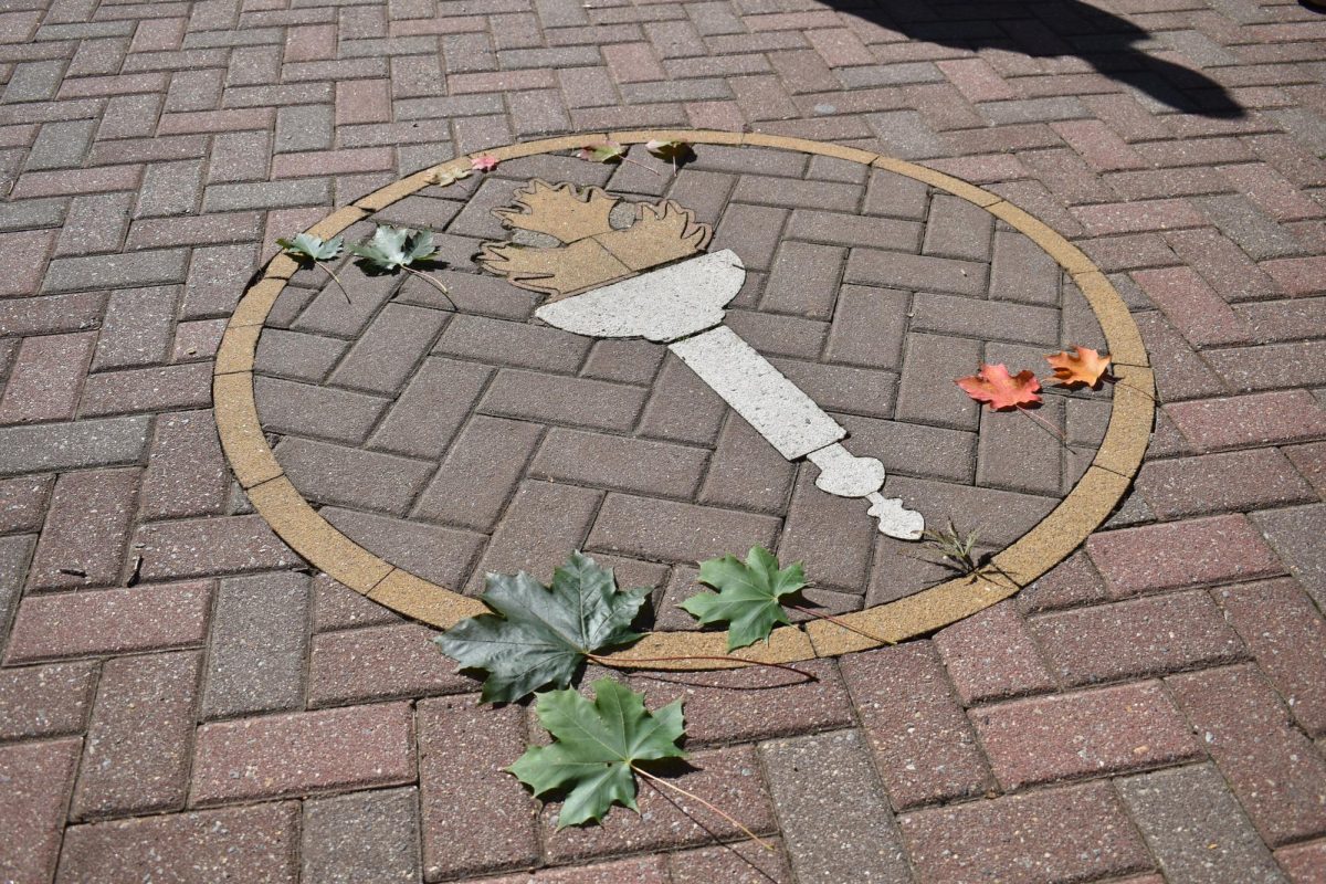 Leaves collected from the Arboretum Autumn Leaves Walking Tour surround the memorial circle on the south side of Rowan's campus. - Staff Photographer / Owen Miller