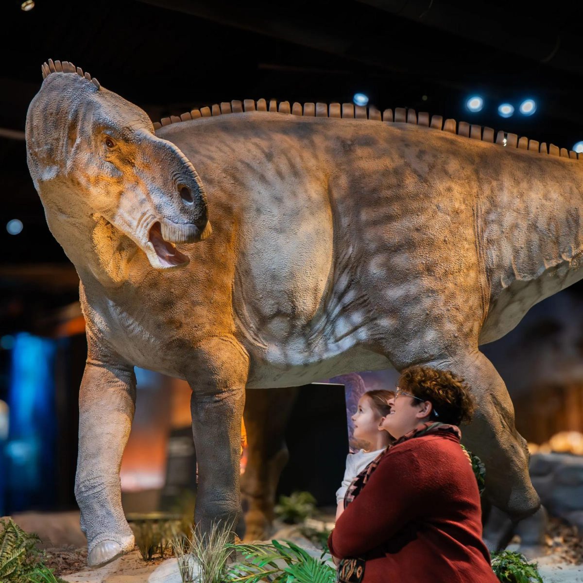 The museum will open in a little over a month. - Photo via the Edelman Fossil Park & Museum