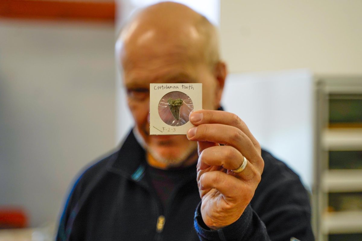 Dr. Kenneth Lacovara holds up a Cretolamna (extinct shark) tooth at the Edelman Fossil Park & Museum in Mantua, NJ. Thursday, March 6, 2025. - Photography Editor / Gavin Schweiger