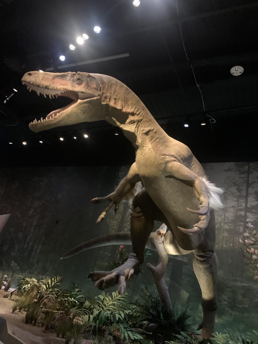 "After spending the first 40 minutes of the visit learning the intricacies of all of these creatures, seeing the end of their life is emotional." - Features Editor / Paige Britt