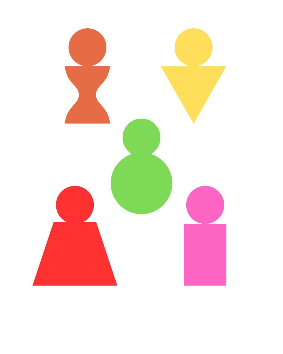 "As humans, we come in all different shapes and sizes." (Graphic Editor / Alexander Cruz)