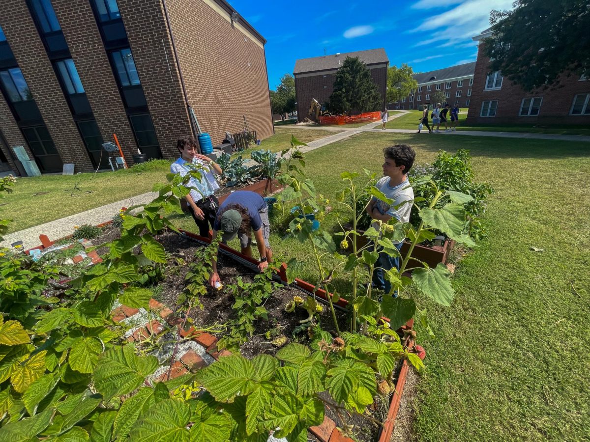 From left to right: Peter Conbs, Kyle Mains, and Corrina Ricatti planting at REAL's plant and sip event. Thursday, Sept. 11, 2025. Glassboro, NJ. (Graphics Editor / Alex Cruz)