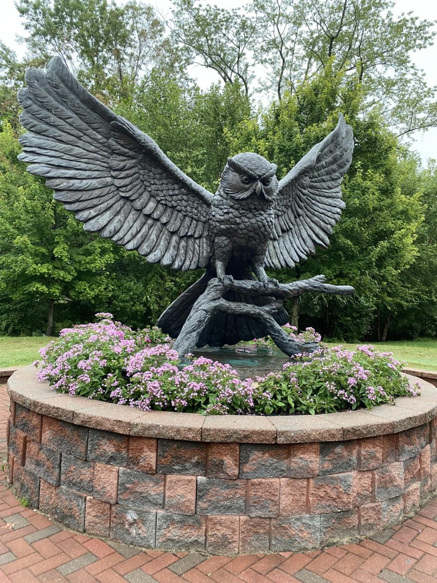 "Among the targets of this trend have been the Prof Pride statue near the Meditation Walk, the Knowledge is Power statue outside of James Hall and the Henry Rowan Statue in front of Savitz Hall, notably iconic Rowan locations." (Ellianna Onorato)