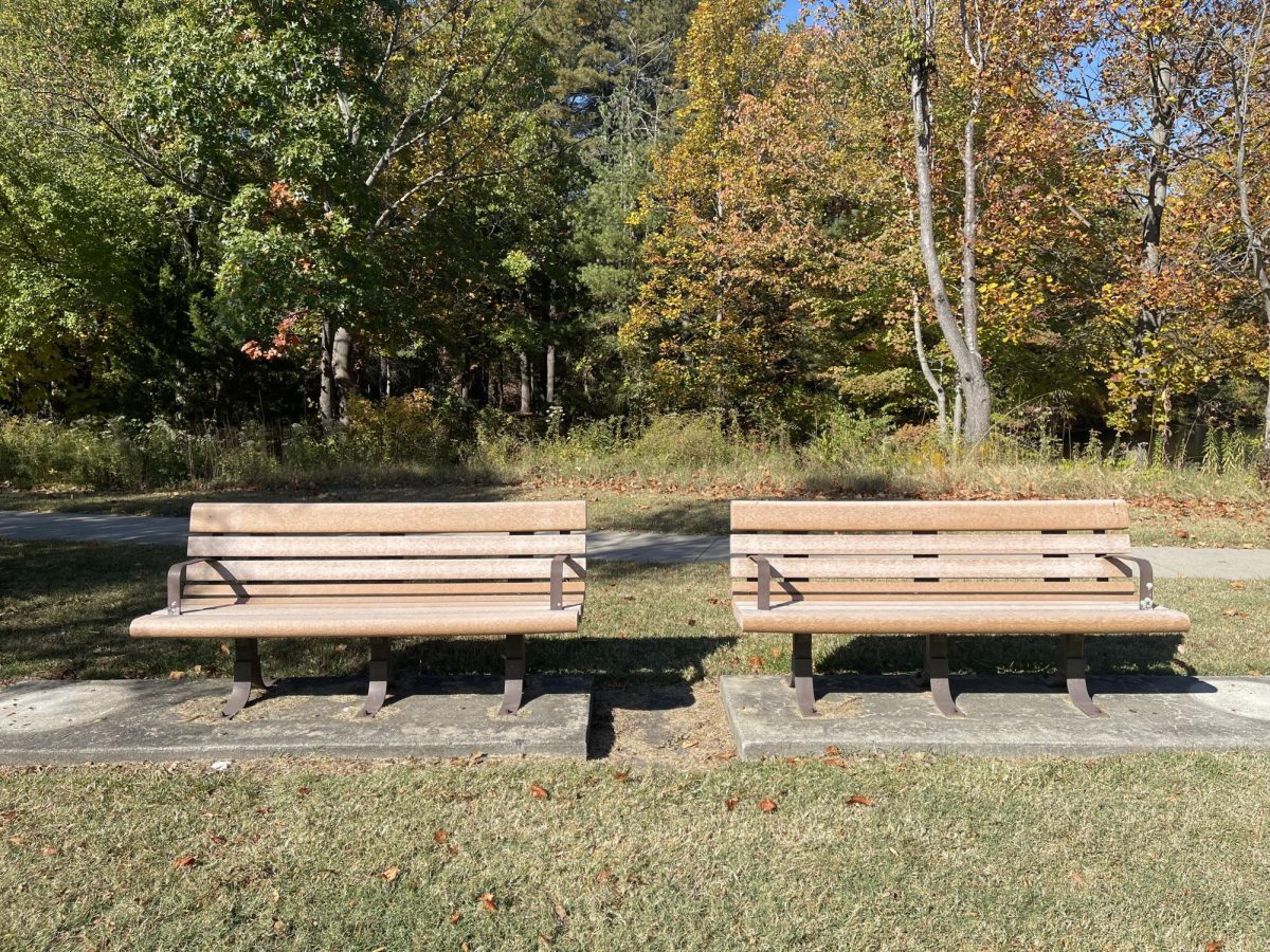 Two benches behind Wilson Hall, next to the small bridge and dirt trail. (Lily Miller / Opinion Editor)
