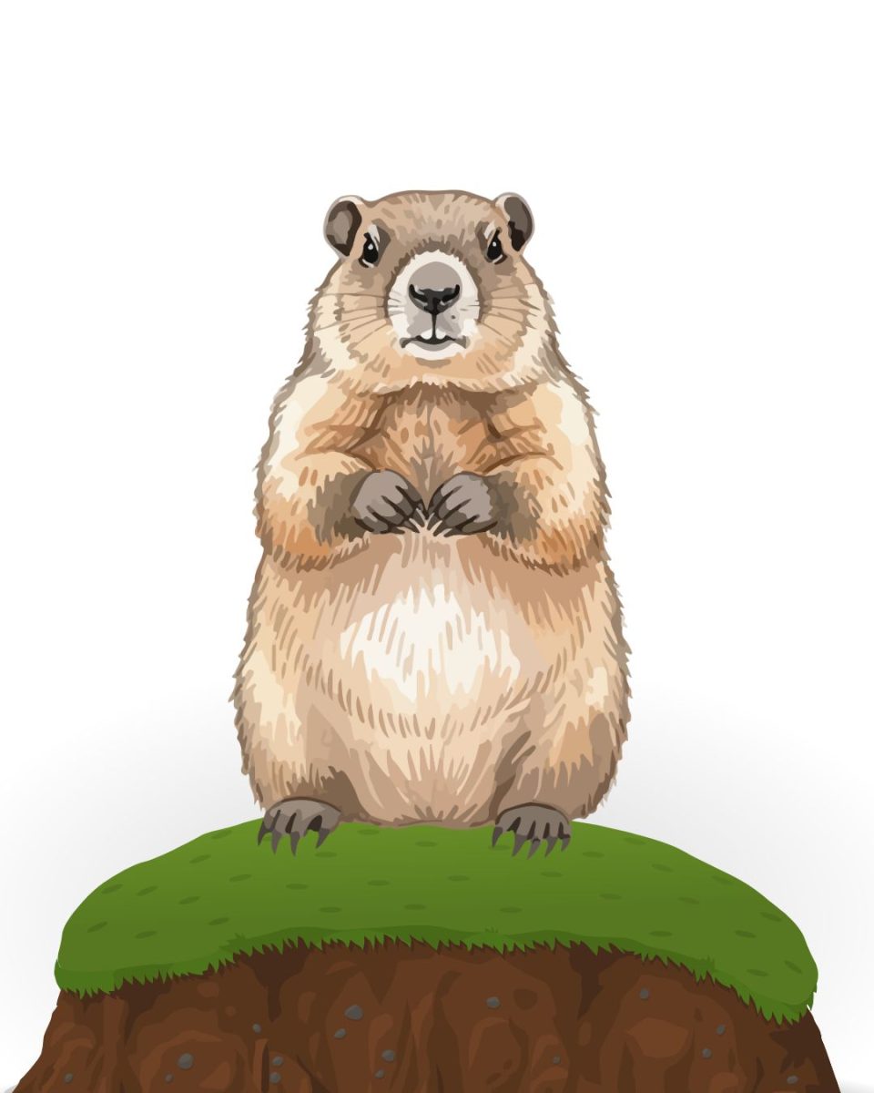 “If that little rat tells us we have more weeks of winter, I’m going to be really mad." (Graphics Editor / Alexander Cruz)