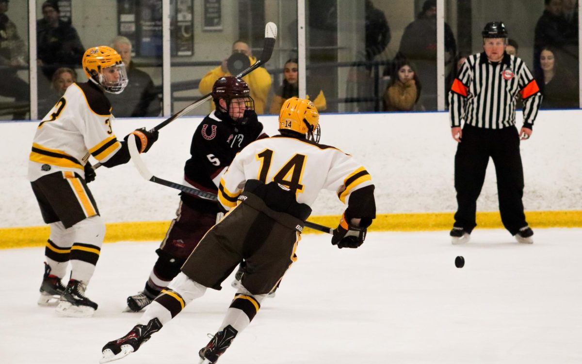 Freshman forward Griffin Meyer skates on the ice. Sewell, N.J. Saturday, Jan. 31, 2026. (Sports Photographer / Antonette Dietz) 