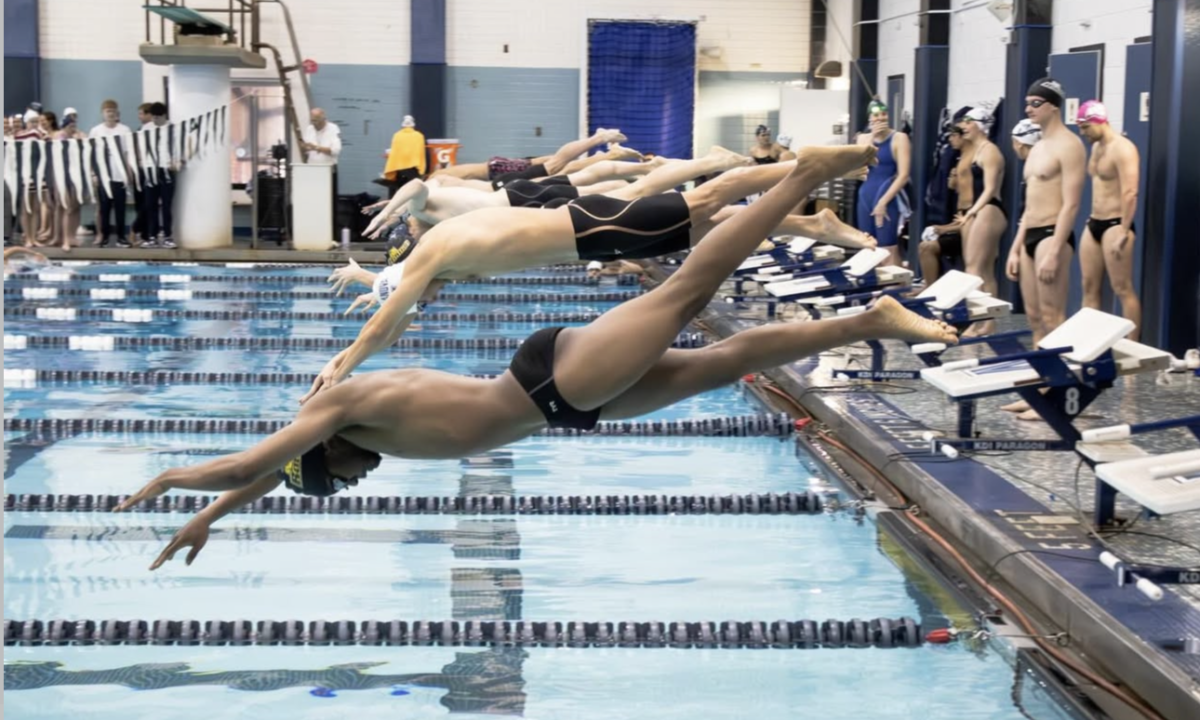 Swimmers dive into the pool. Villanova, Pa. Saturday, Jan. 31, 2026. (Sports Photographer / Melanie Barahona)