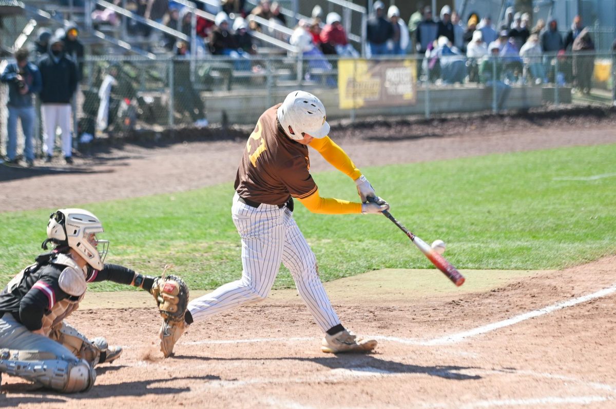 Ian Murphy up to bat. Murphy's two run home run in the fifth inning gave Rowan the lead over TCNJ. (Sports Photographer / Trevor Miceli)